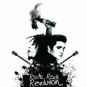 Roots Rock Revolution