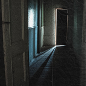 The Sorry Notes - Single