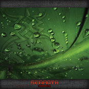 Current Unconscious by Senmuth