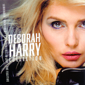 Collection cover