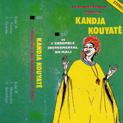 et l'Ensemble Instrumental du Mali