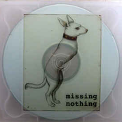 Missing Nothing