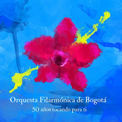 50 años tocando para ti