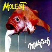 Mouthfeed by Molest