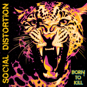 Born To Kill