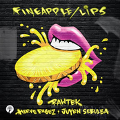 Fineapple / Lips