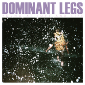 Young At Love And Life by Dominant Legs