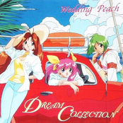 Wedding Peach Dream Collection