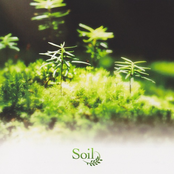 Soil