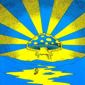 The Psychedelic Voyage