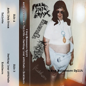 4 Way Noisecore Split