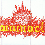 sammach