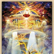 The Collections Vol 2