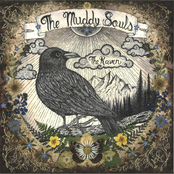 The Muddy Souls: The Raven