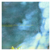 Water Door (Array Mbira Version)