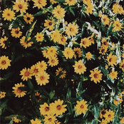 but just know that I did love you, with everything I possibly had