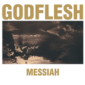 Wilderness Of Mirrors by Godflesh