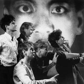 tuxedomoon