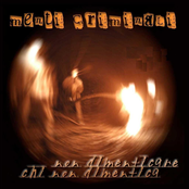 Menti Criminali - Svolta incognita