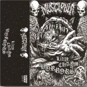 Little Chasm of Horrors