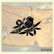 Bayside: The Walking Wounded