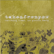 That Fading Flower, His Glorious Beauty