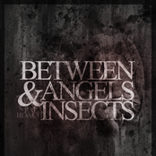 Between Angels and Insects (Papa Roach Cover)