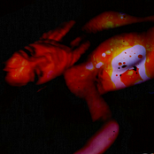 The beauté faye upon her face, Non erthly thing it may desface. (Cult Of Lilith)