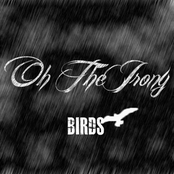 Birds - Single