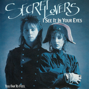 I See It In Your Eyes