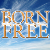Born Free Single