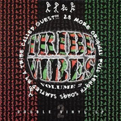 Tribe Vibes Vol. 2