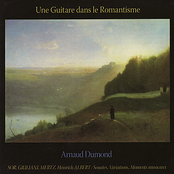 Une Guitare Dans le Romantisme
