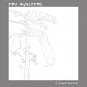 Red Squirrel: Lifedrawing