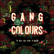 Dance Around The Subject by Gang Colours