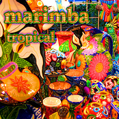 Marimba Tropical