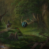 Highest in the Woods