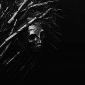 Многодушие