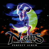 nights into dreams