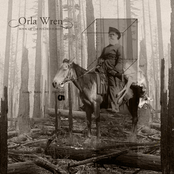 Book Of The Folded Forest