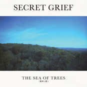 Secret Grief: The Sea of Trees