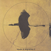 Music & Migration II