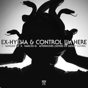 TANGLED UP / NARCISS / AFTERHOURS