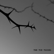 Ten Ton Thorns