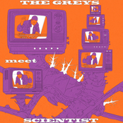 The Greys, meet Scientist!