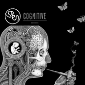 Soen: Cognitive