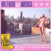 Mr. T-Bone sees America