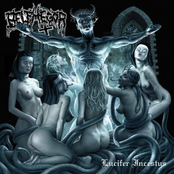 Demonic Staccato Erection by Belphegor