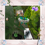 nitetime slimes + borbus Traxs