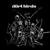 dört birds